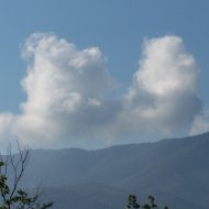 100_1123.JPG